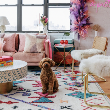peerspace rózsaszín lakás kutyával