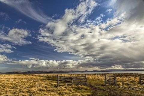 Kerítés és a felhők késő délutáni fényben, Kavicsos sziget, Falkland-szigetek