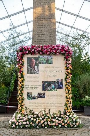 David Austin Roses emlékmű, a Chelsea Flower Show 2019