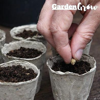 Garden Grow Fiber termesztőedények