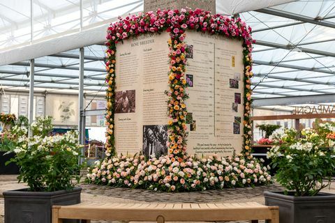 David Austin Roses emlékmű, a Chelsea Flower Show 2019