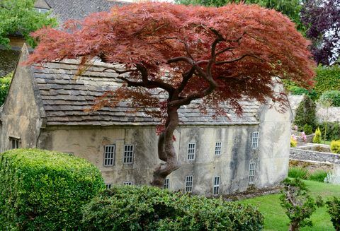 Bourton Model Village - fa - Cotswolds