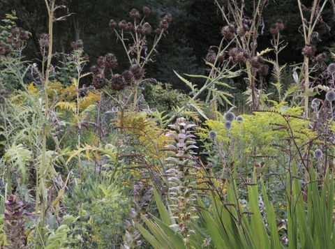 vendégház Kerti-seedheads