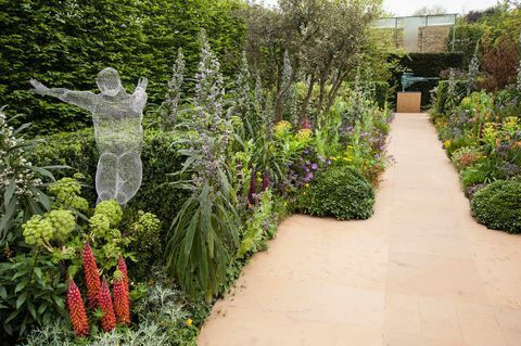 chelsea virágbemutató 2013, artritisz kutatás uk, designer chris beardshaw aranyérmes sugárkert és fényes kert