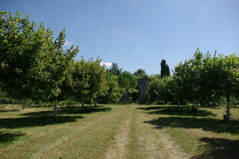 Richelieu - Túrák - Touraine - fák - Franciaország - Savills