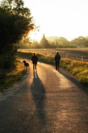 két nő kutyát sétált napkeltekor