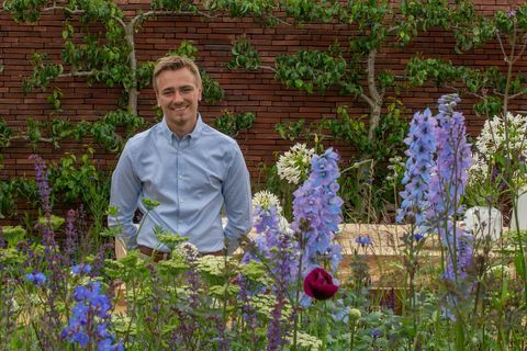 Jamie Butterworth a Wedgwood kiállítási kertjében az RHS Chatsworth Flower Show-n.