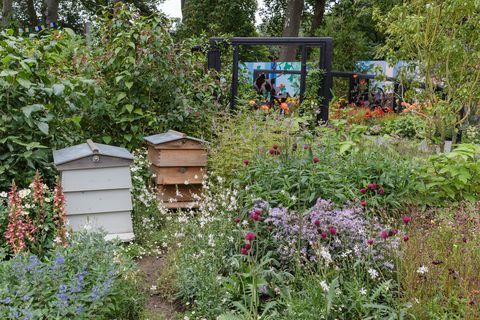 rhs cop26 kert mérséklő zóna tervezte marie louise agius, balston agius kerti rhs chelsea virágbemutató 2021-es 327-es stand