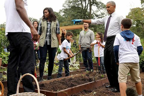 Michelle Obama amerikai asszony és Barack Obama elnök rendezvényt rendez a Fehér Ház konyhakertjének betakarítására a Fehér Ház déli gyepén, 2016. október 6., Washington, DC