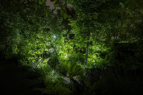 Chelsea virágbemutató - Kate Middleton vissza a természetkertbe este, Philips világítása